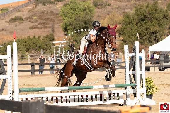AVM_0332