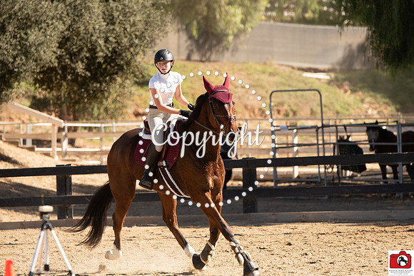 AVM_0348
