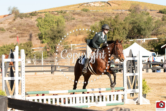 AVM_0135