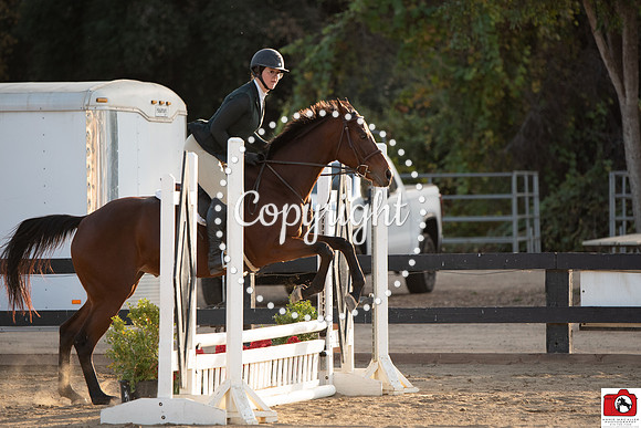 AVM_0949