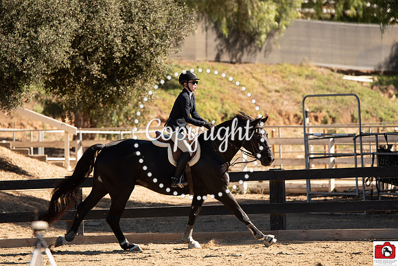 AVM_0354