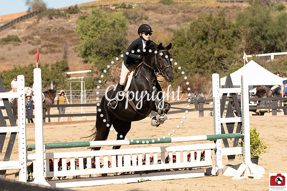 AVM_0423
