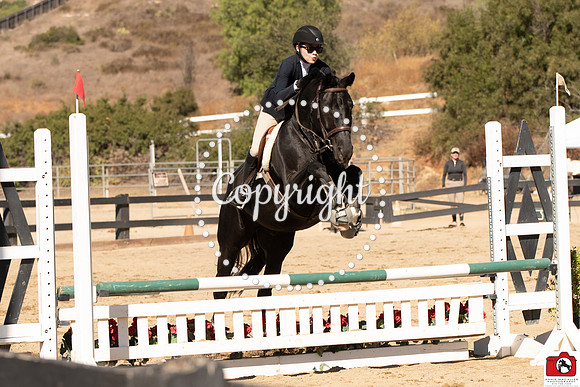 AVM_0464
