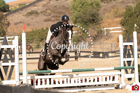 AVM_0449