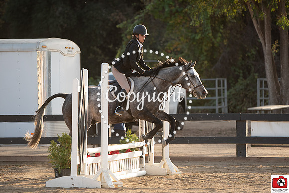 AVM_0934