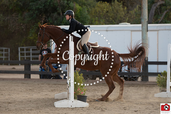 AVM_0985