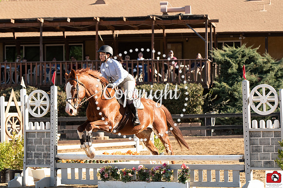 AVM_0119