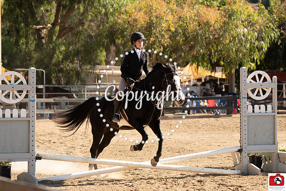AVM_0773