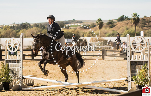 AVM_0685