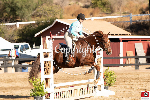 AVM_0106