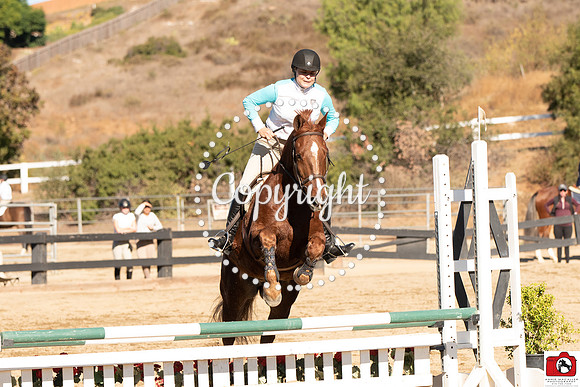 AVM_0206