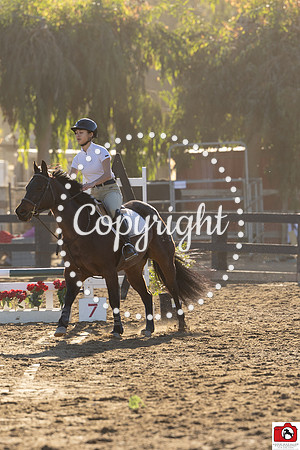 AVMM0019