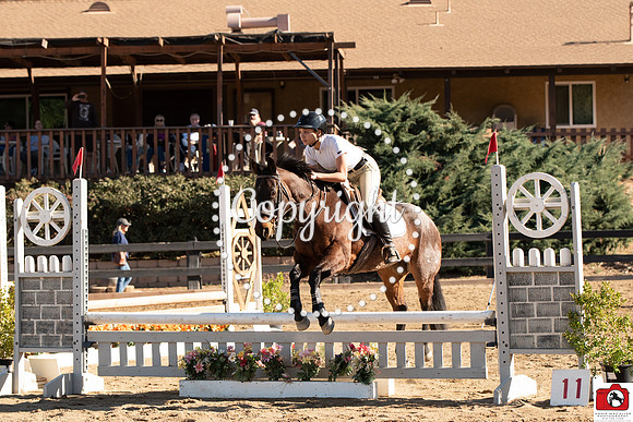 AVM_0201