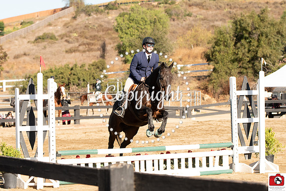 AVM_0092