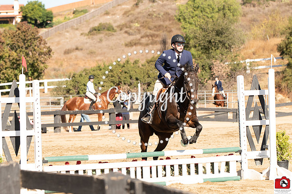 AVM_0174