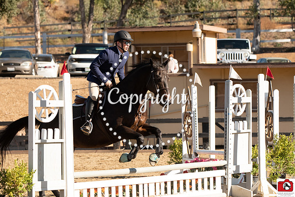 AVM_0177