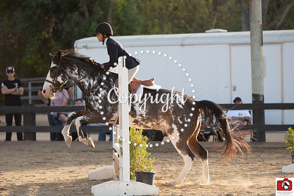 AVM_0955