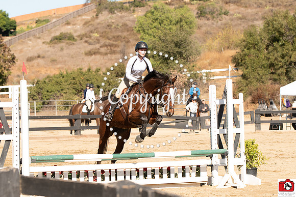 AVM_0255