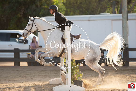 AVM_0917