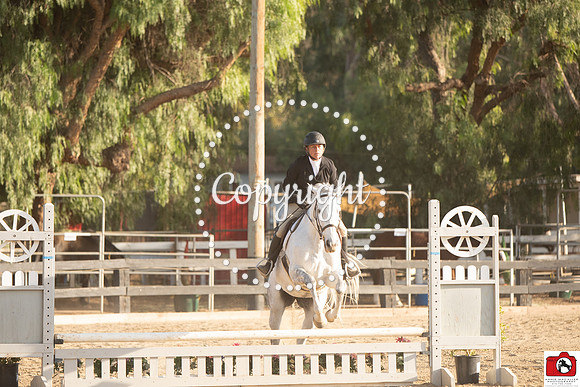 AVM_0915