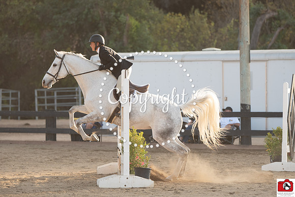 AVM_0969