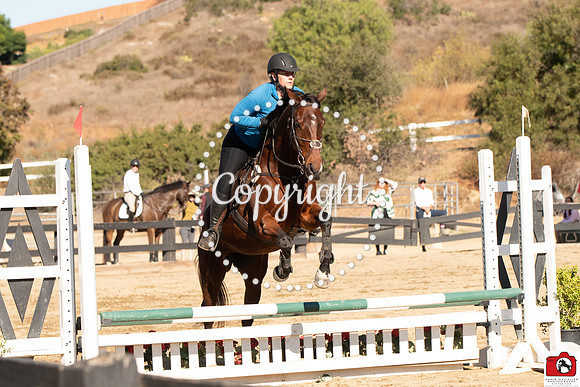 AVM_0225