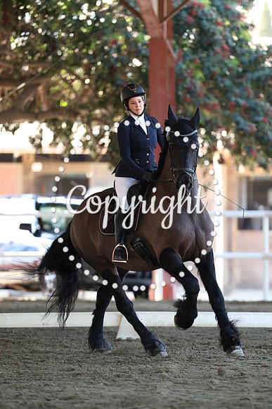 AVMP4009