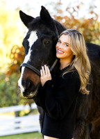 Horse + Rider