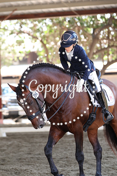 AVMP3140