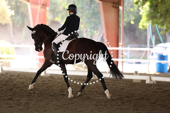 AVMP1487