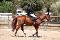 AVMP1117