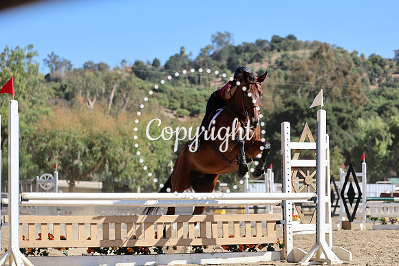 AVMM7935