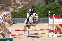 AVMP2968