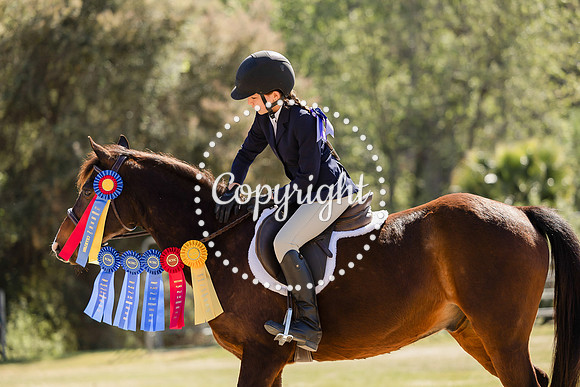 AVMM7354
