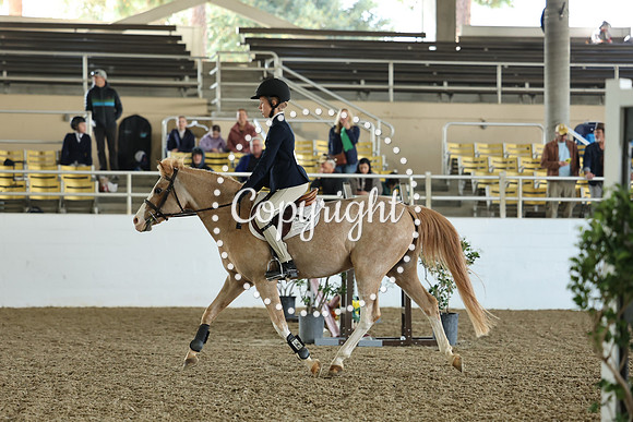 AVMM0953