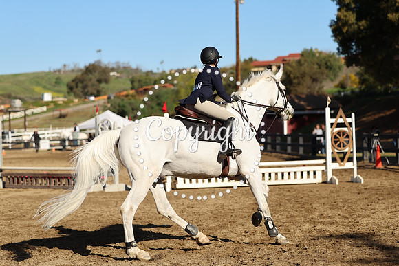 AVMM0979