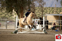 AVMM0546