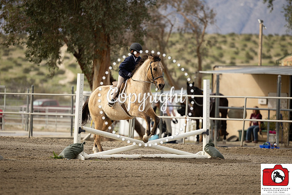 AVMM0546
