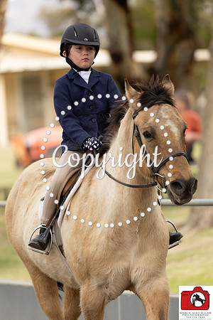 AVMM0860