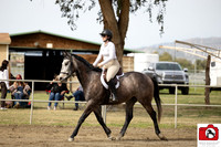 AVMM0931