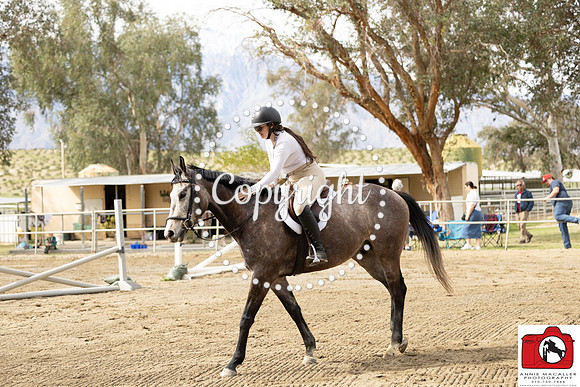AVMM0935