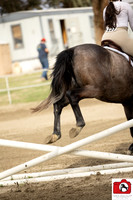 AVMM0973