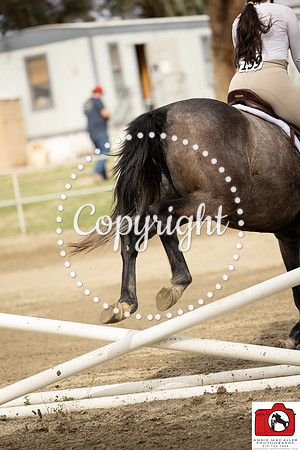 AVMM0973