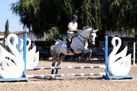AVMP1553