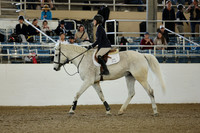 AVMM3589