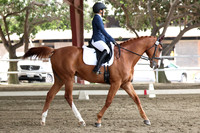 AVMP4417
