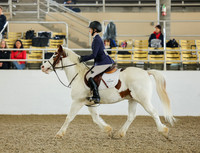 AVMM1696