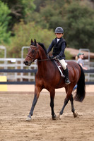 AVMP7984