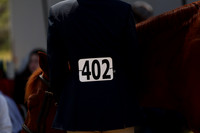 AVMM1952