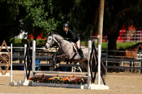 AVMM2201